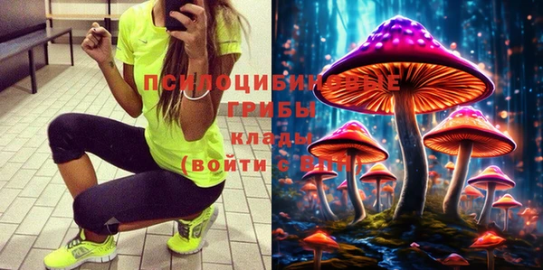 прущие крисы Балахна