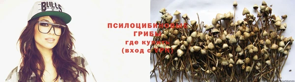 прущие крисы Балахна