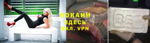 стаф Тобольск