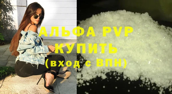 стаф Тобольск
