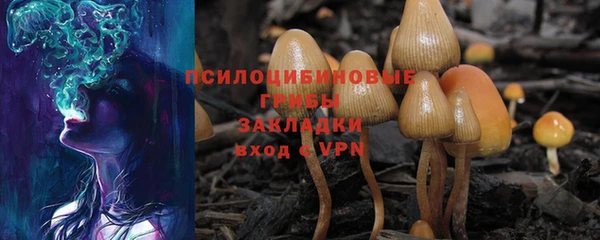 прущие крисы Балахна
