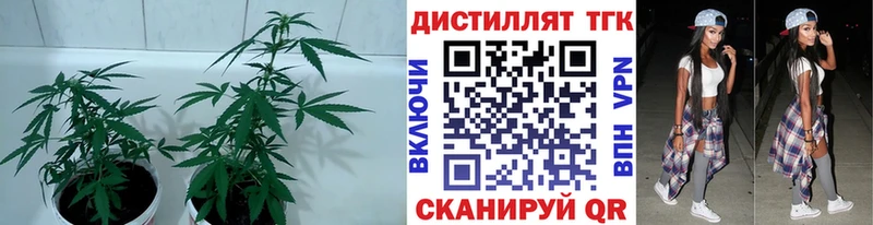 Дистиллят ТГК вейп  Кумертау 