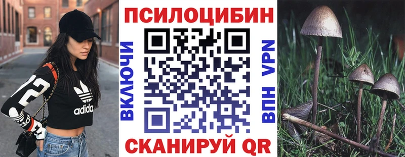 Галлюциногенные грибы GOLDEN TEACHER продажа наркотиков Кумертау
